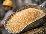India’s Ethanol Price Standoff Tightens Global Sugar Balance