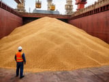 India’s Niger–Nigeria Soybean Probe Shifts Trade Flows and Price Risks