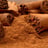Ceylon cinnamon — powder