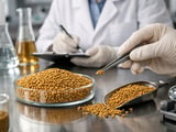 Egypt Fenugreek Holds Premium Over India as Export Demand Stays Firm