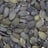 Pumpkin seed kernels — gws, grade a