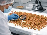 Almond exports pivot to India as Australian harvest delays reshape flows
