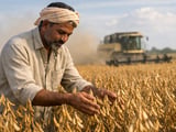 Indian Soybeans: Tight Old-Crop Stocks Meet Weather-Driven New-Crop Risk