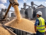 CBOT Oats Break Higher While European Cash Market Stays Flat