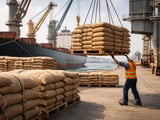 Vietnam Coffee FOB Firm as New-Crop Pressure Builds Slowly