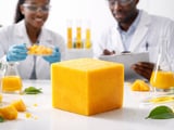 New Senegal Project Repositions Global Mango Value Chain
