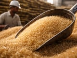India’s Fast-Starting Sugar Season Eases Global Supply Jitters