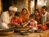 Black Gram Market: Firm Prices Amid Monsoon Delays and Tight Sowing