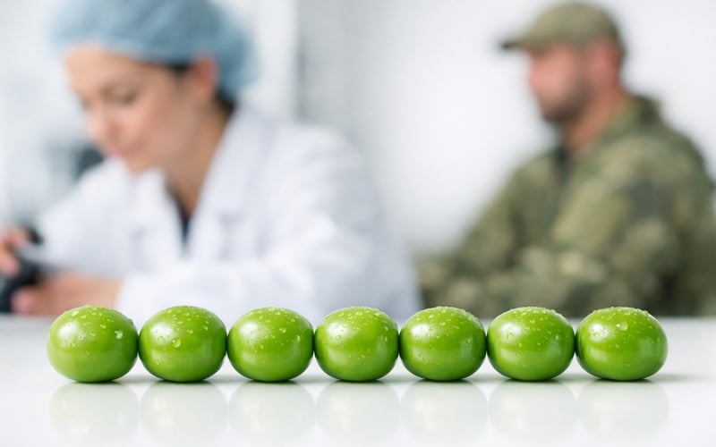Precios estables de los guisantes ucranianos bajo presión por los riesgos de exportación en Odesa