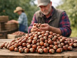 Hazelnut prices slide as Turkey faces heavy 2026/27 supply and weak exports