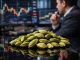 Cardamom market: stable prices, soft demand and monsoon watch