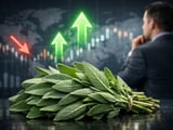 Egyptian dried sage prices ease slightly as hot weather persists