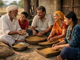 Fenugreek: Indian Offers Edge Higher While Egyptian FOB Holds Steady