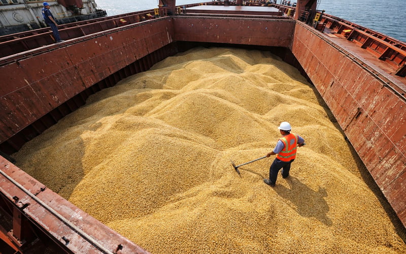 Millet Export Squeezed by Summer Lull and Cost Pressures