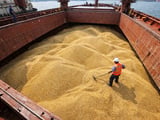 Millet Export Squeezed by Summer Lull and Cost Pressures