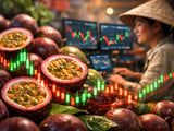 Vietnam Passion Fruit Prices Steady as EU Demand Surges