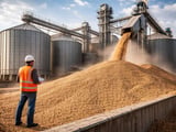 Oats Hold Steady as Futures Flatten and EU Feed Prices Pause