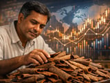 Indian Organic Cassia Steady in Delhi as Monsoon Eases Logistics Risk