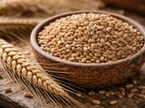 German triticale holds steady as feed grain complex stays firm