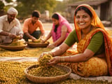 Indian Raisin Prices Hold Firm as Domestic Mandis Tighten