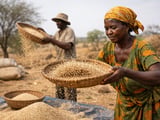 Indian Sesame Prices Edge Higher While Egyptian FOBs Hold Flat