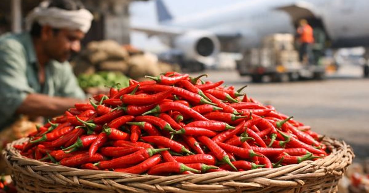 Indian Green Chilli Market: Export Season, Freight Pressure, Outlook ...