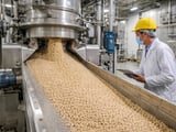 Chad Sesame Seeds Hold Firm as Indian Market Tightens into Diwali