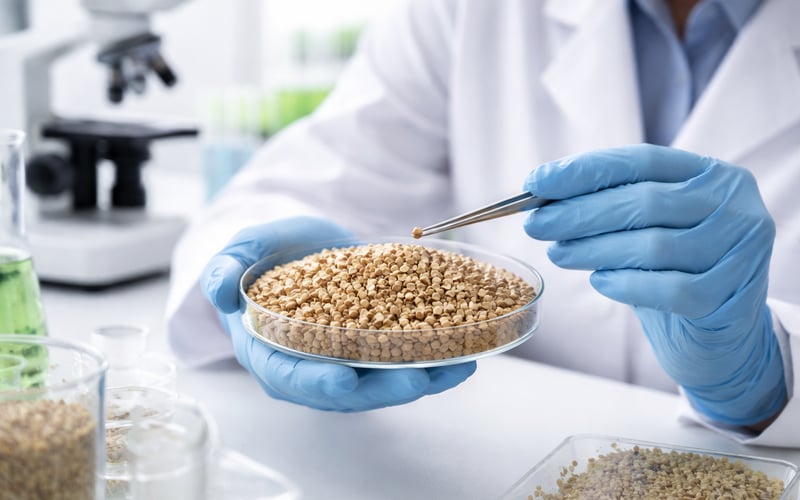 China Buckwheat: High Costs, Cautious Buyers, Mostly Steady Outlook