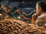 Cumin market steadies after price slide as Indian jeera tests support