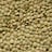 Lentils dried