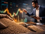 Ajwain Prices Hold Steady as Mandis See Moderate Arrivals