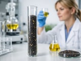 Ukrainian Rapeseed Softens as Heat Builds into Early Harvest