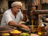 Mustard Seed Market Firms as Oil Mill Buying Recovers in India