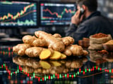 Ginger Market Heats Up as Tight Global Supply Supports Firm Prices