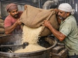 Tight Indian Sesame Supply Keeps Prices Firm into the Monsoon