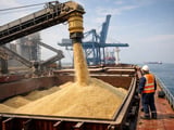 Rice Market 2026/27: Balanced Fundamentals, Soft Prices, Rising Weather Risk