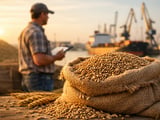 Prix du seigle en baisse à Odessa avec l’arrivée de la nouvelle récolte sur fond d’incertitudes à l’export