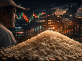 India’s Basmati Re‑Branding: How a Leaner Variety List Could Shift Rice Trade