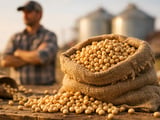 Soybeans lose war premium as demand doubts cap any rebound