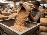 Chickpeas (Chana) Market: Tight Stocks, Soft Spot Prices, Firm Medium‑Term Floor
