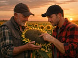 Allseeds shutdown tightens sunflower logistics as Black Sea prices firm