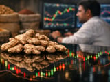 Stockists Lift Dry Ginger as Indian Saunth Market Turns Firm
