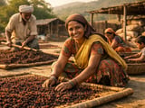 Raisin Prices Hold Firm as Indian and Turkish Offers Set the Tone