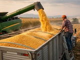 Mexico’s Record Corn Import Needs Tighten Global Feed-Grain Balance