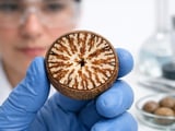 Nutmeg Market Eyes Gulf Demand Rebound as Hormuz Reopening Nears