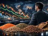 Lentils Edge Lower on Cautious Demand but Downside Looks Limited