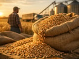 Romanian Wheat Surge Reshapes EU Grain Flows and Price Dynamics