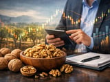 Walnut Kernels Hold Steady as China Underpins a Soft but Stable Market