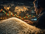 Rice Market Softens as CBOT Futures Ease and Asian FOB Values Stabilise