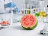 Bangladesh Guava Exports Surge on Expat Demand but Logistics Cap Upside